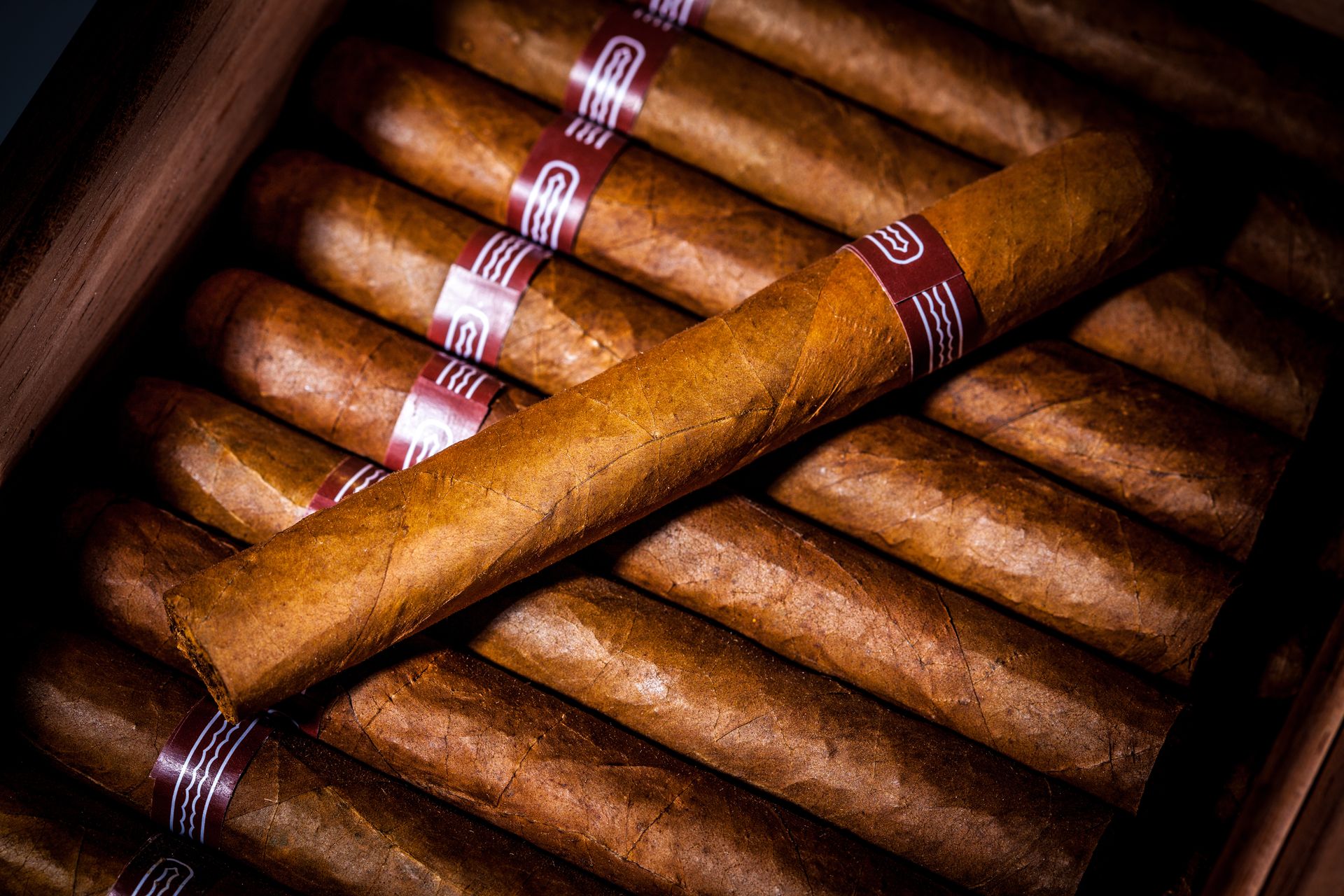 Cigars