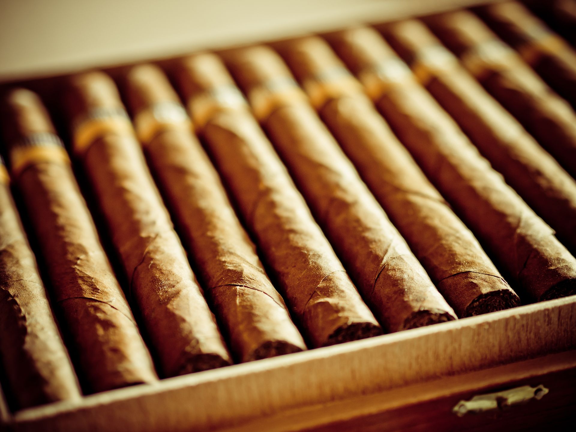A&F Smoke Shop gallery photo